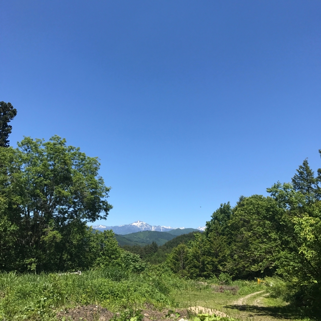 f:id:tetsu-san:20170617004002j:plain