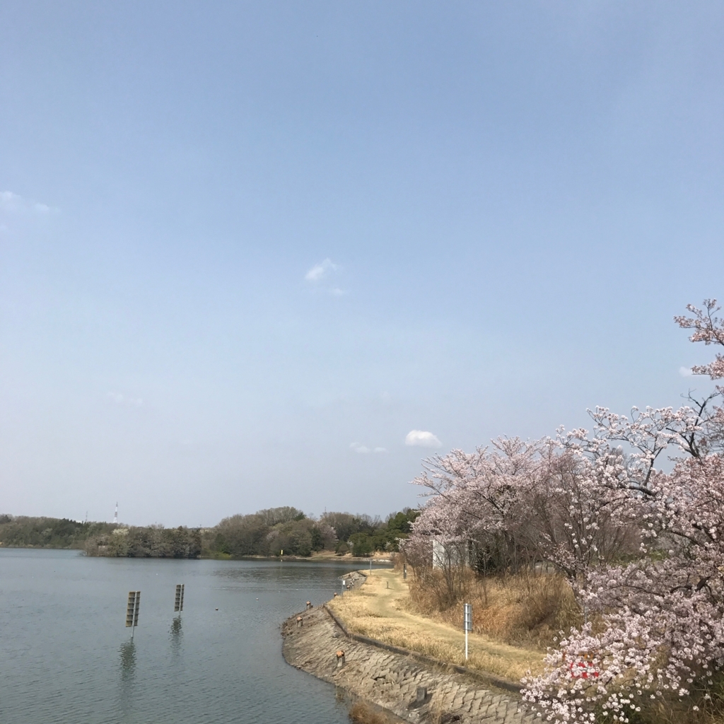 f:id:tetsu-san:20180401174529j:plain f:id:tetsu-san:20180401174529j:plain