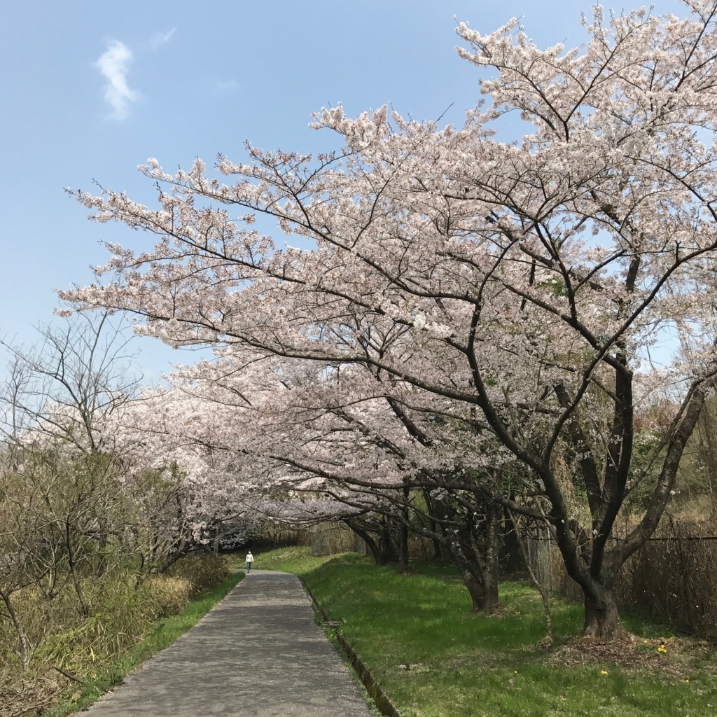 f:id:tetsu-san:20180401174809j:plain f:id:tetsu-san:20180401174809j:plain