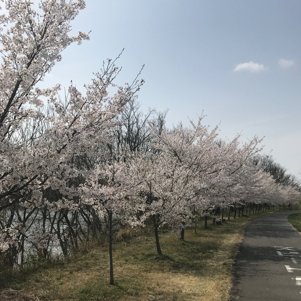 f:id:tetsu-san:20180401174958j:plain f:id:tetsu-san:20180401174958j:plain
