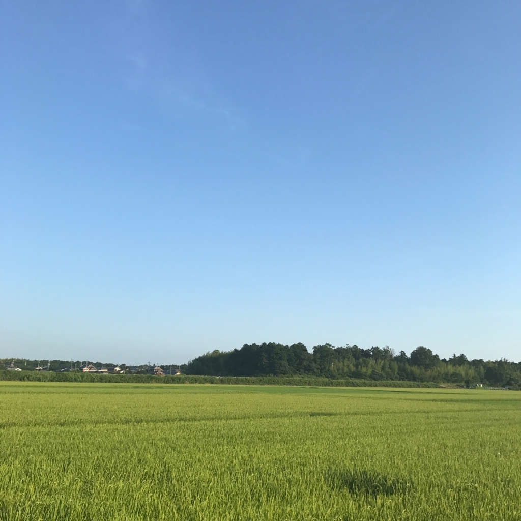 f:id:tetsu-san:20180722105828j:plain f:id:tetsu-san:20180722105828j:plain