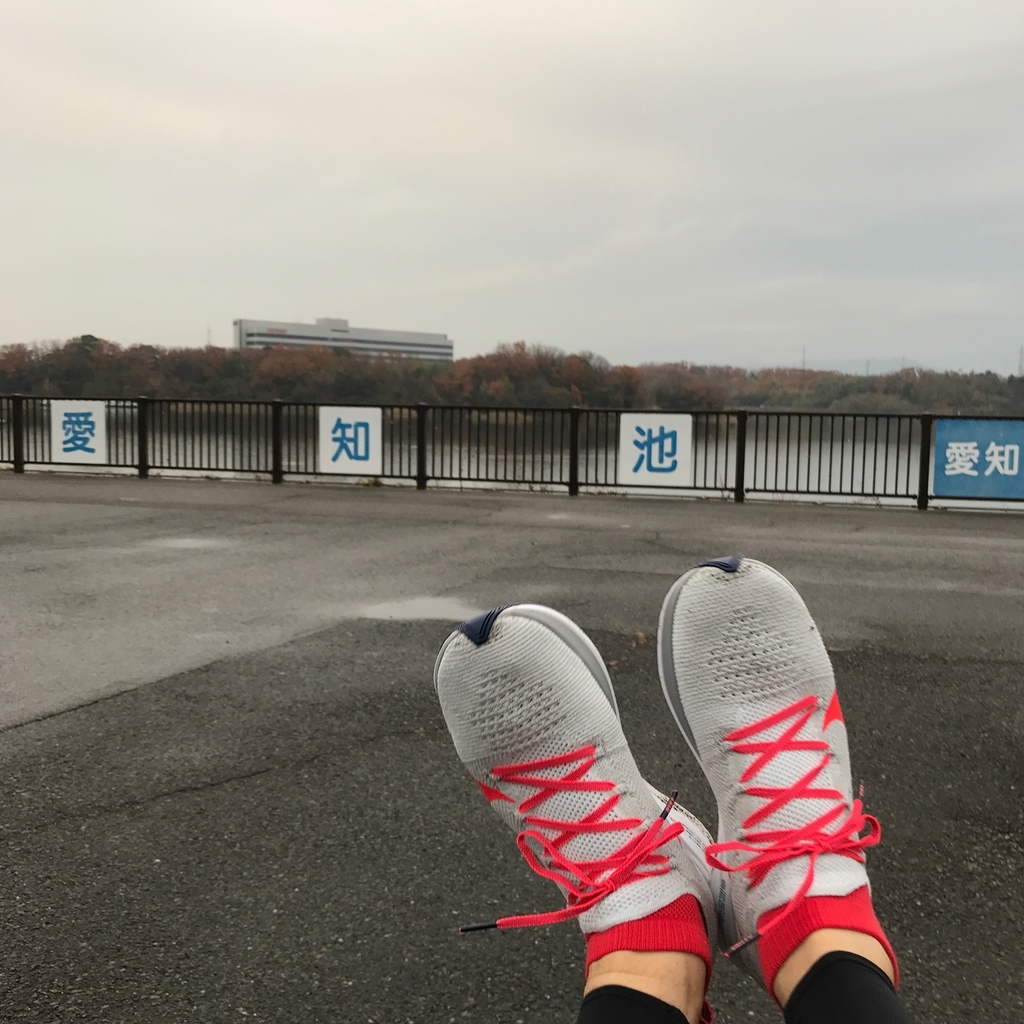 f:id:tetsu-san:20181223195559j:plain f:id:tetsu-san:20181223195559j:plain