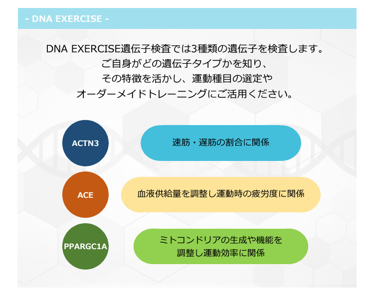アクエリアンエイジ3　遺伝子の力 aアクチニン3（ACTN3）遺伝子を調べて向いているスポーツが
