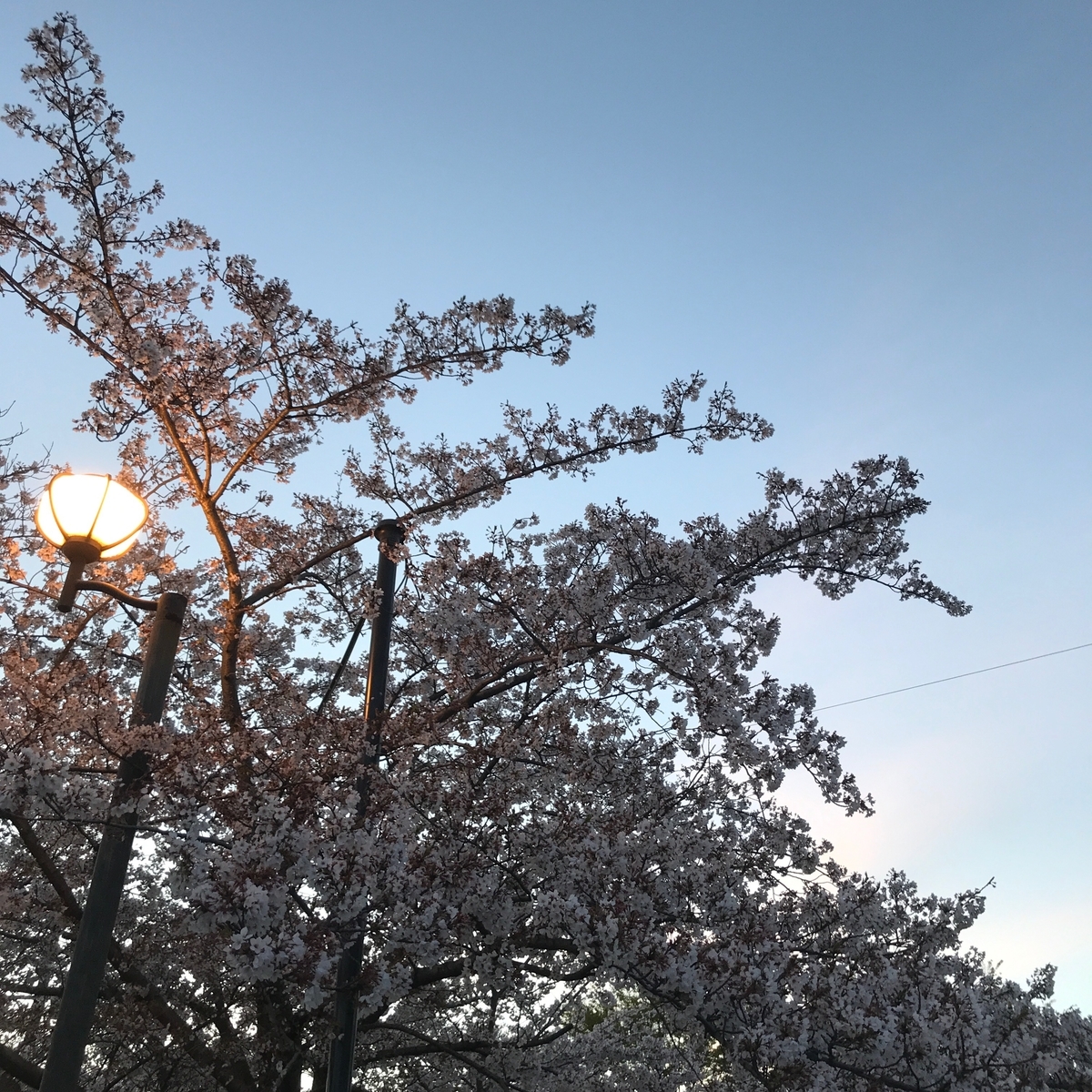 f:id:tetsu-san:20190411104818j:plain f:id:tetsu-san:20190411104818j:plain