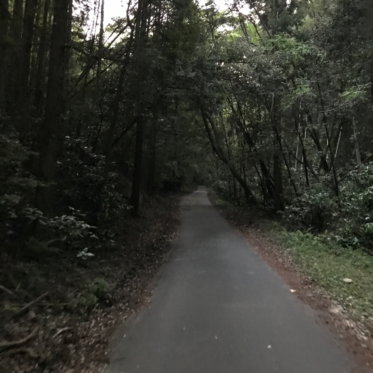 f:id:tetsu-san:20190526131158j:plain f:id:tetsu-san:20190526131158j:plain