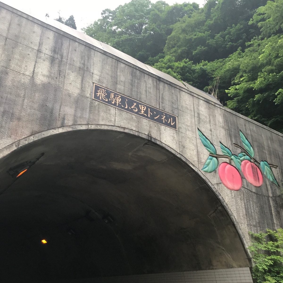 f:id:tetsu-san:20190612172556j:plain f:id:tetsu-san:20190612172556j:plain