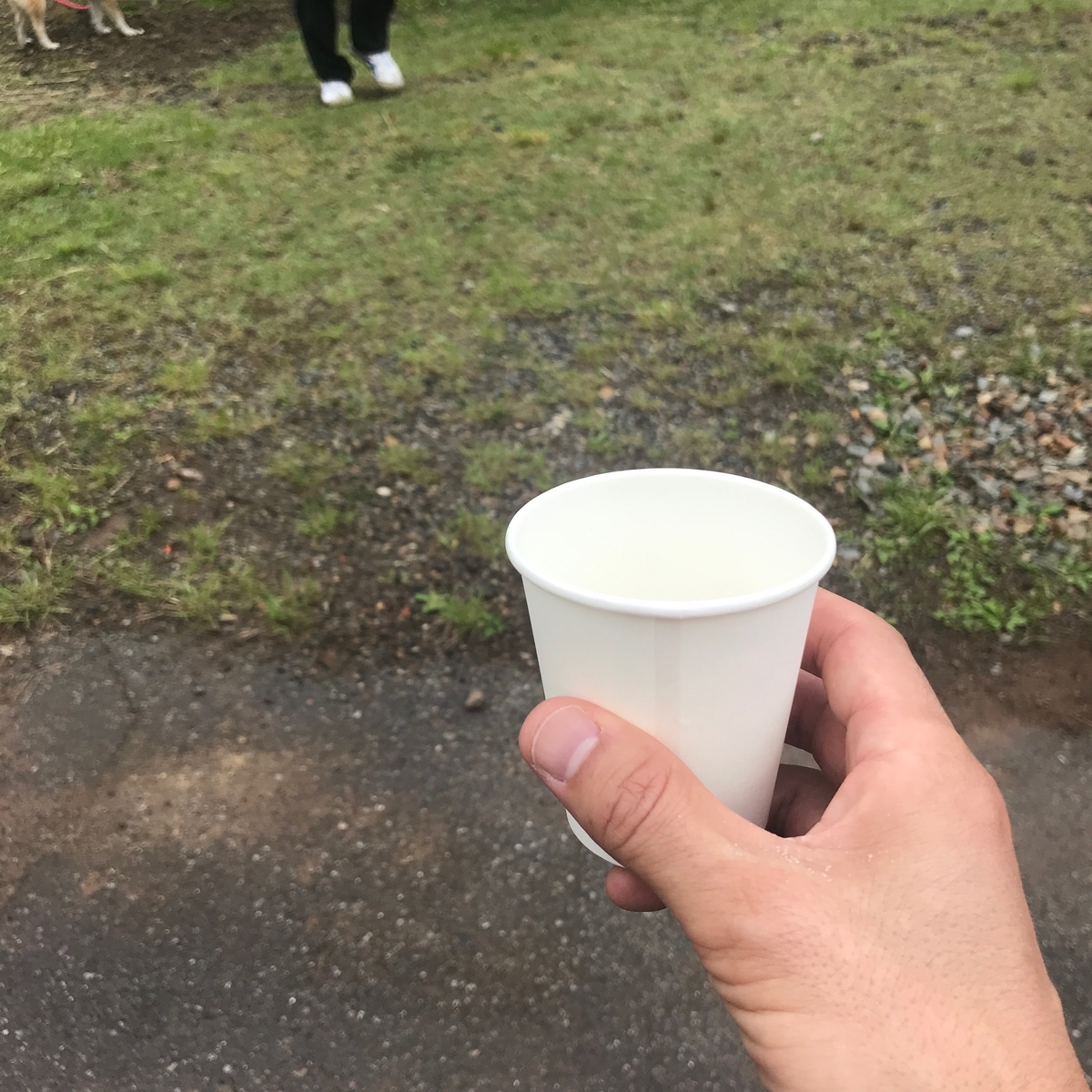 f:id:tetsu-san:20190614102340j:plain f:id:tetsu-san:20190614102340j:plain