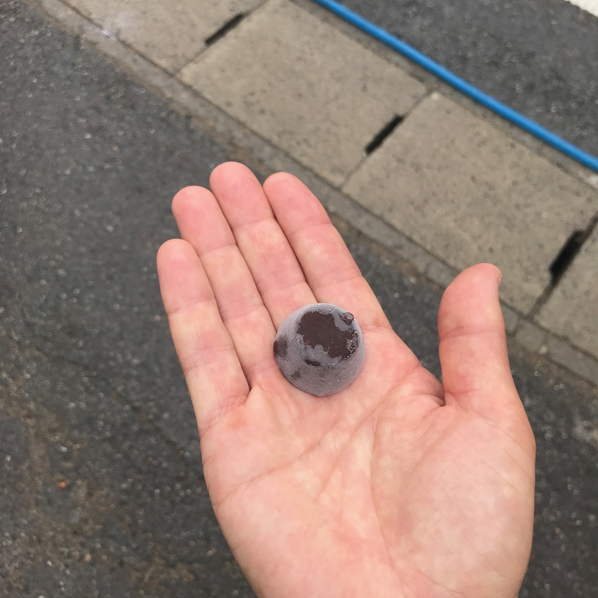 f:id:tetsu-san:20190614155708j:plain f:id:tetsu-san:20190614155708j:plain