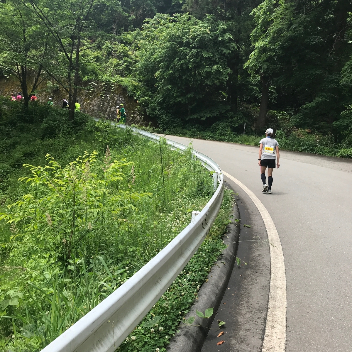 f:id:tetsu-san:20190615141430j:plain f:id:tetsu-san:20190615141430j:plain
