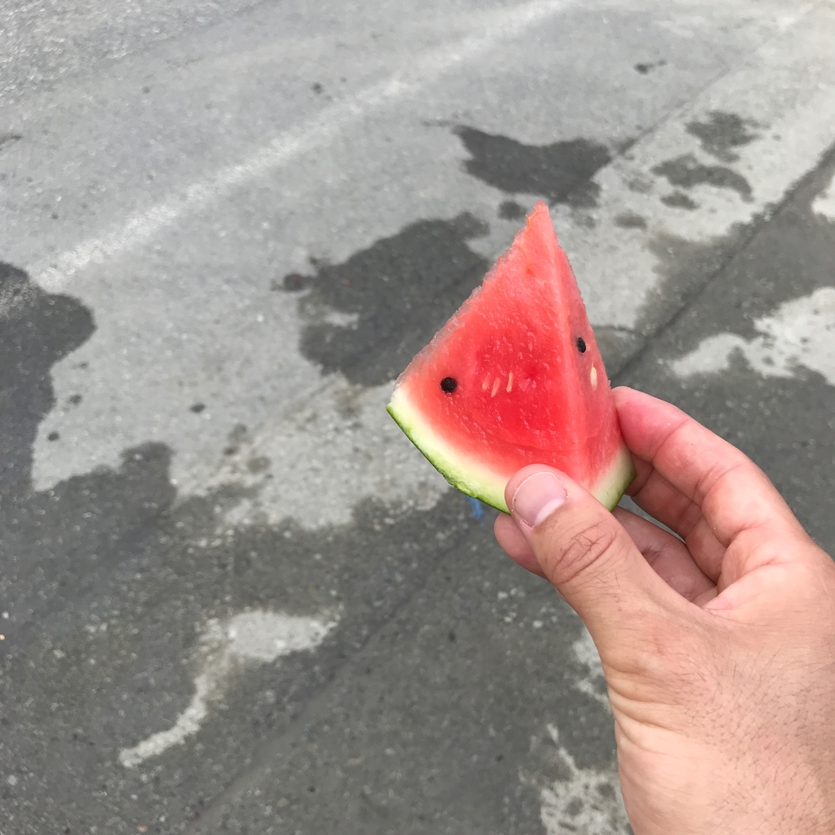 f:id:tetsu-san:20190616194100j:plain f:id:tetsu-san:20190616194100j:plain