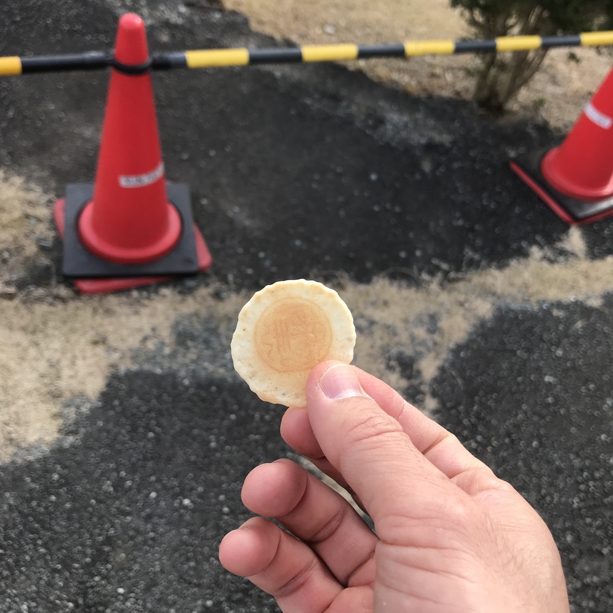 f:id:tetsu-san:20191218182608j:plain f:id:tetsu-san:20191218182608j:plain