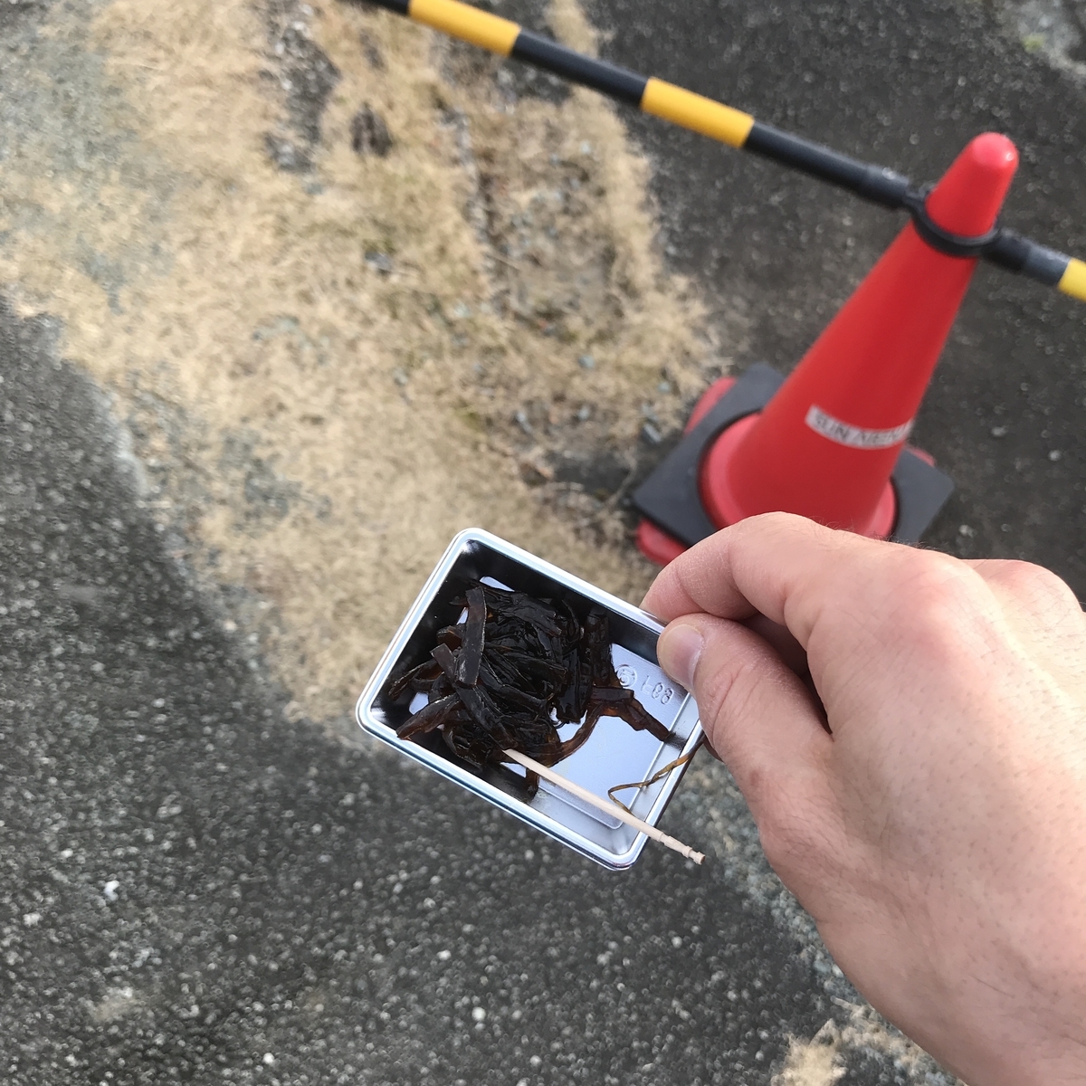 f:id:tetsu-san:20191218182838j:plain f:id:tetsu-san:20191218182838j:plain