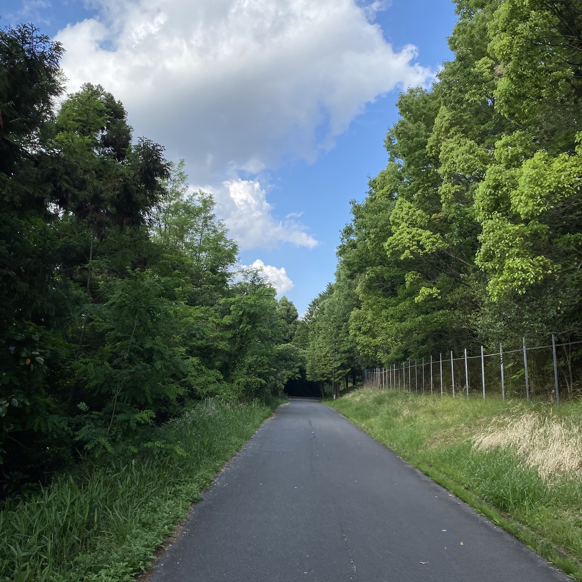 f:id:tetsu-san:20200523194844j:plain f:id:tetsu-san:20200523194844j:plain