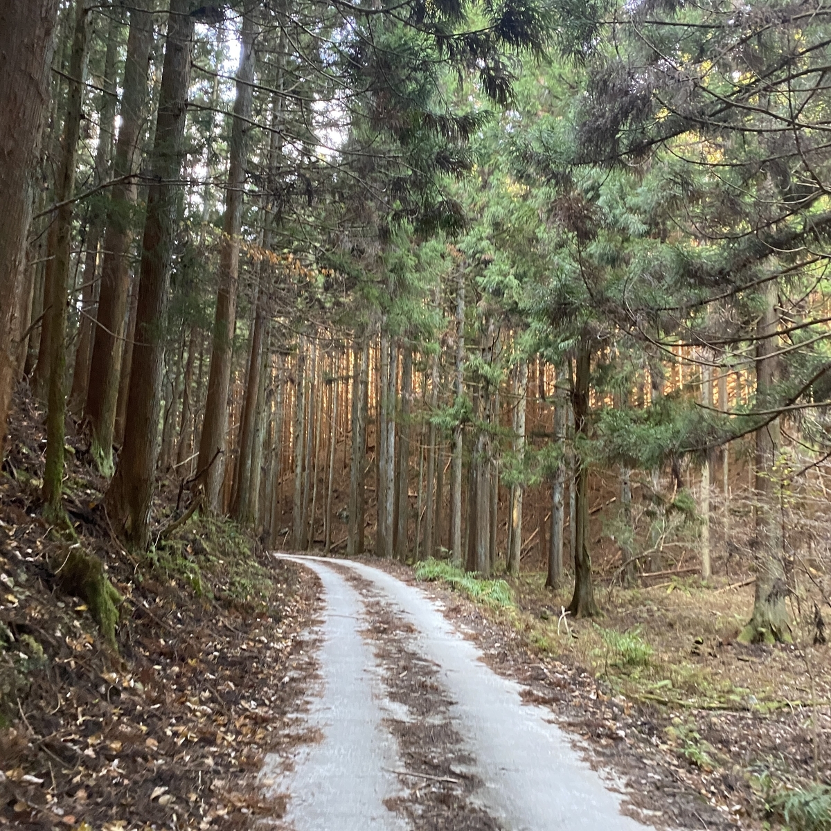 f:id:tetsu-san:20201213152449j:plain