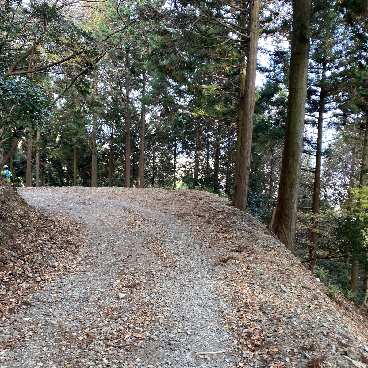 f:id:tetsu-san:20201213155913j:plain