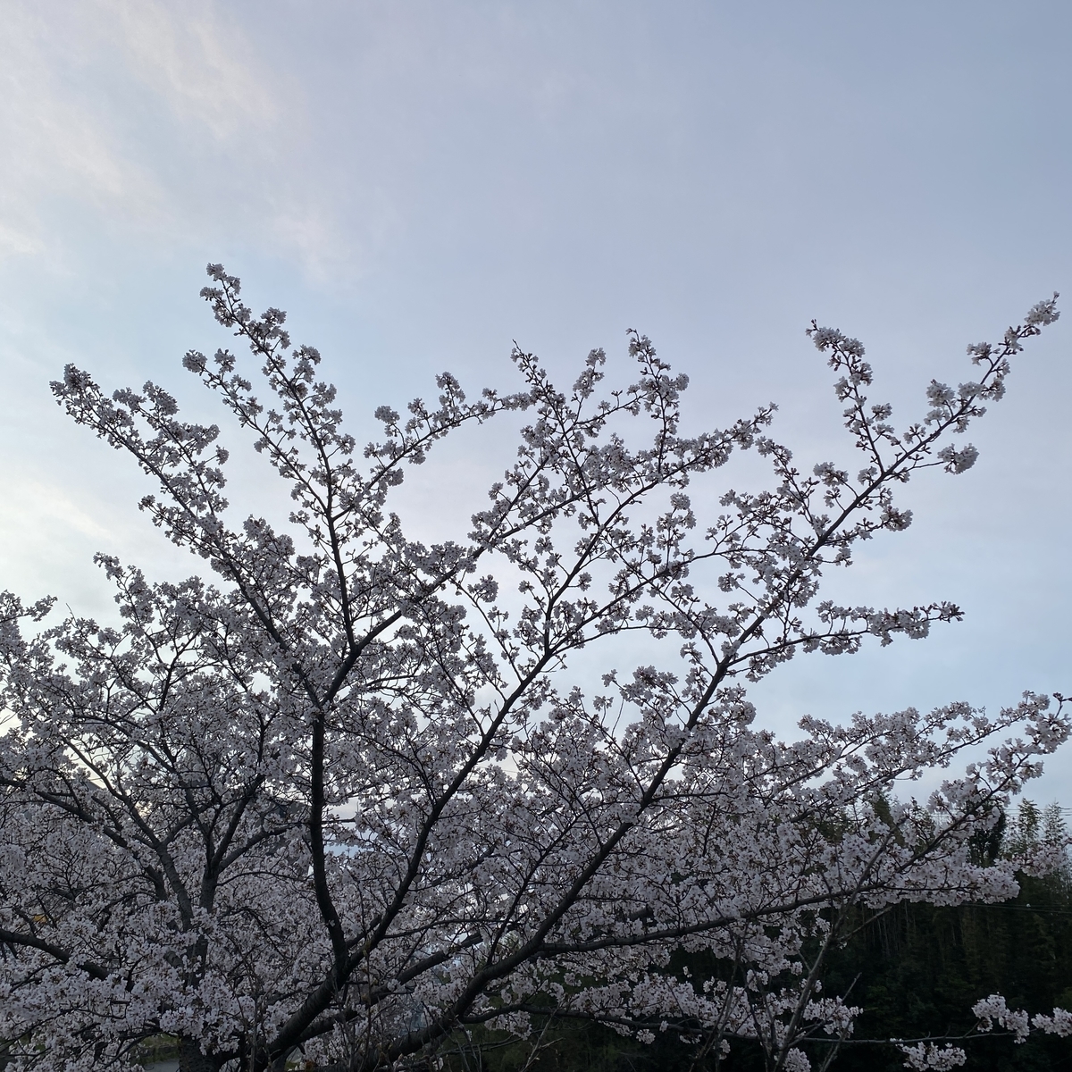 f:id:tetsu-san:20210405133113j:plain