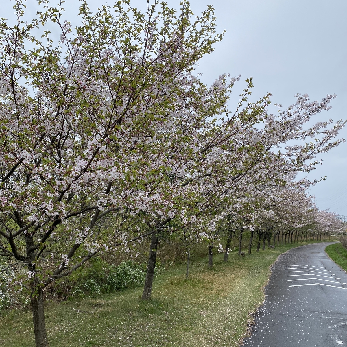 f:id:tetsu-san:20210405141435j:plain