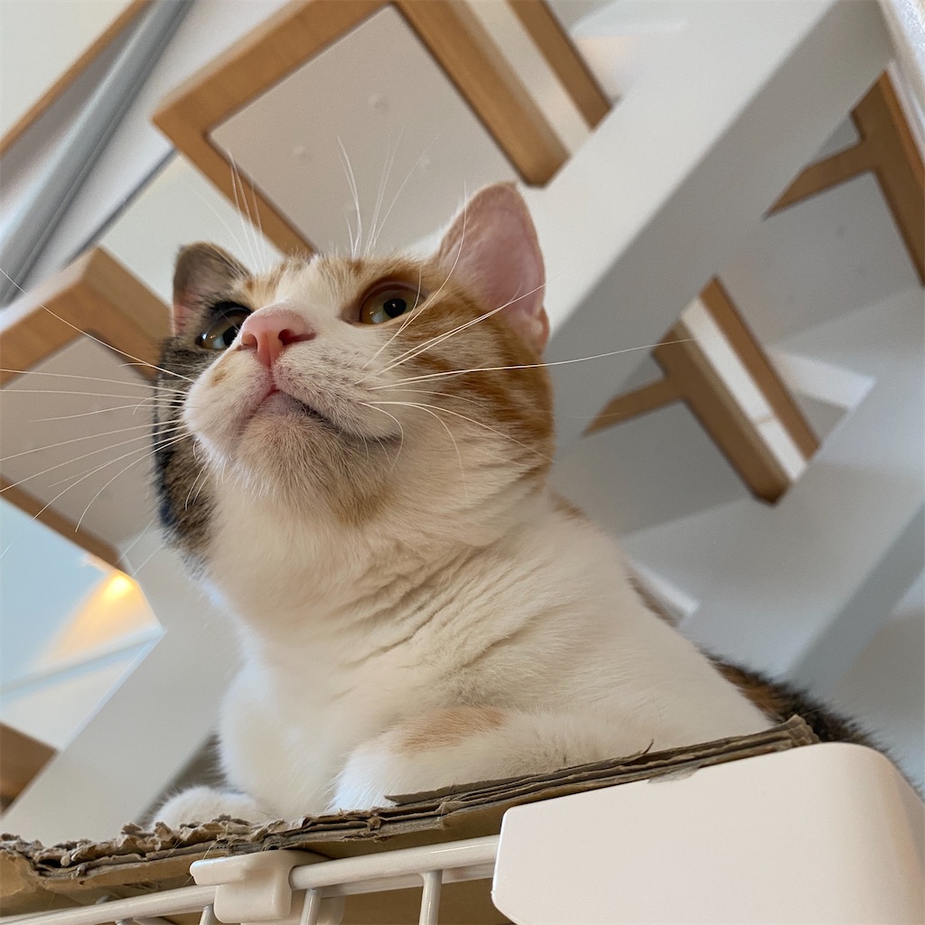 f:id:tetsu-san:20210531135903j:image