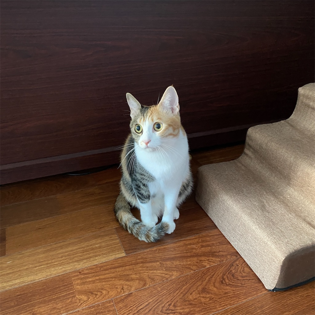 f:id:tetsu-san:20211121195550j:image f:id:tetsu-san:20211121195550j:image