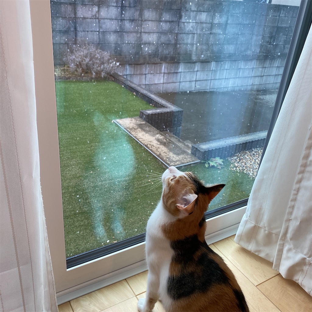 f:id:tetsu-san:20220205213323j:image f:id:tetsu-san:20220205213323j:image