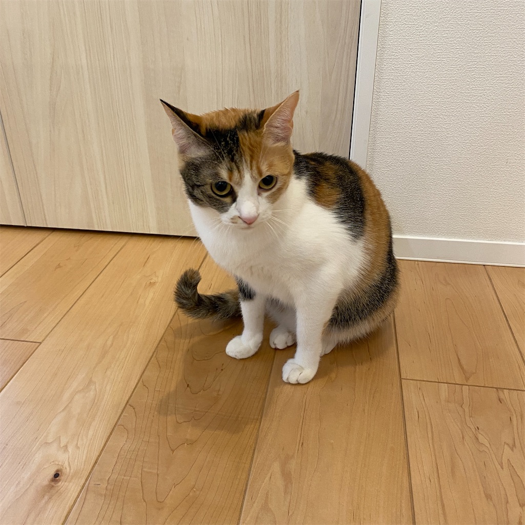 f:id:tetsu-san:20220209105032j:image f:id:tetsu-san:20220209105032j:image