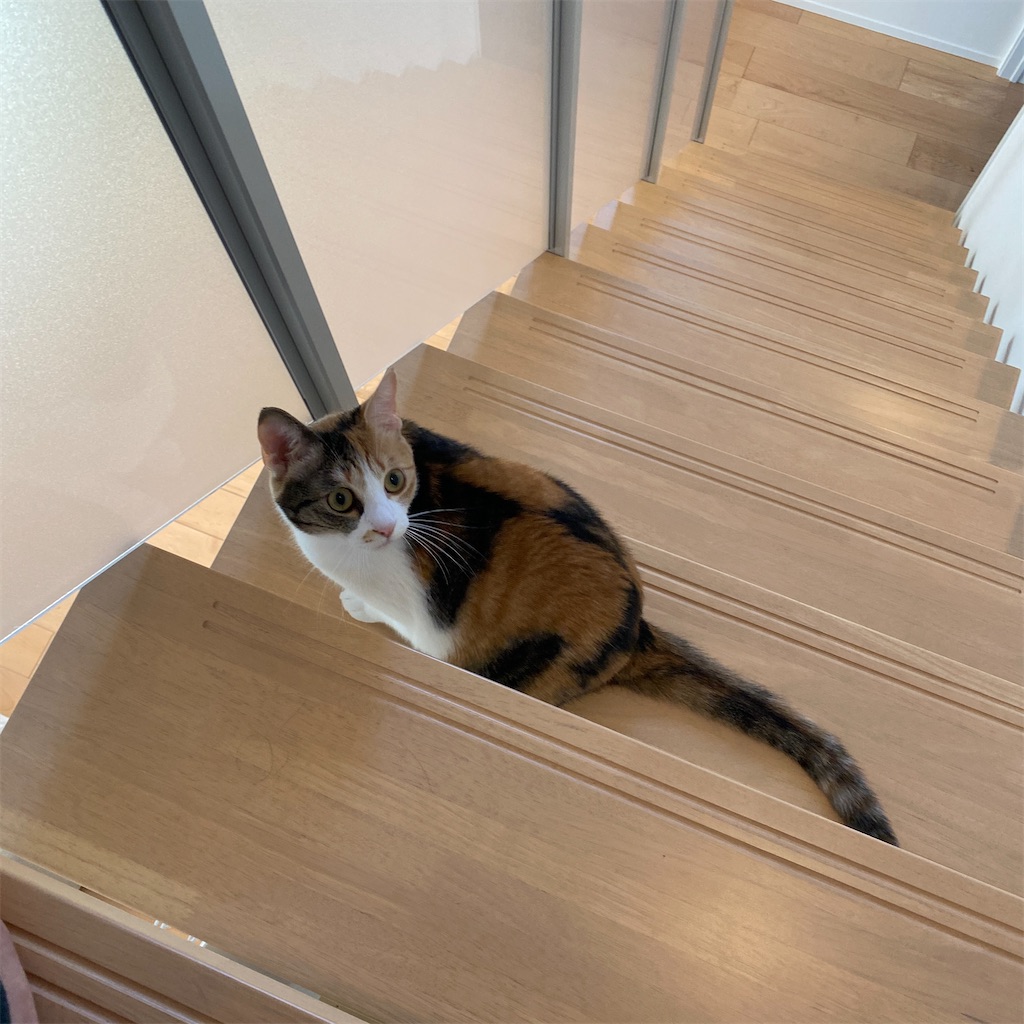 f:id:tetsu-san:20220320212134j:image f:id:tetsu-san:20220320212134j:image
