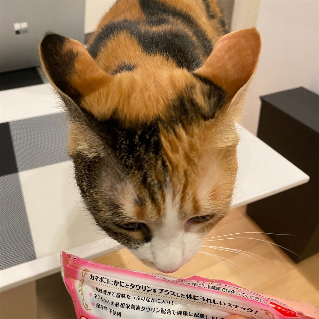 f:id:tetsu-san:20220401125607j:image f:id:tetsu-san:20220401125607j:image