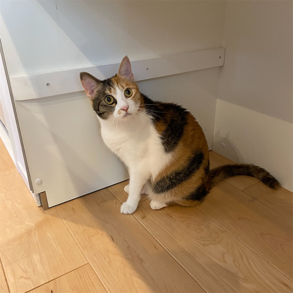 f:id:tetsu-san:20220603141108j:image f:id:tetsu-san:20220603141108j:image