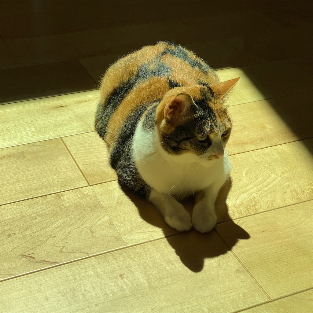 f:id:tetsu-san:20220604134630j:image f:id:tetsu-san:20220604134630j:image