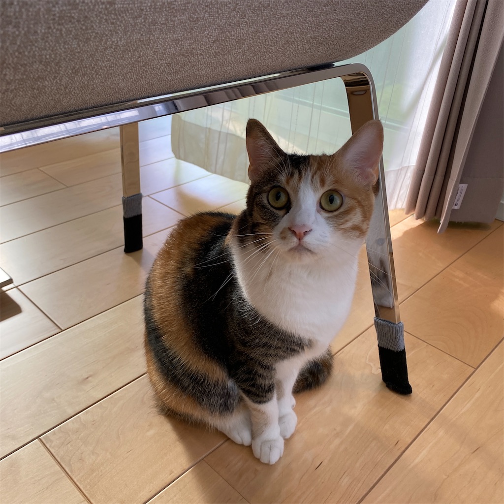 f:id:tetsu-san:20220607104106j:image f:id:tetsu-san:20220607104106j:image