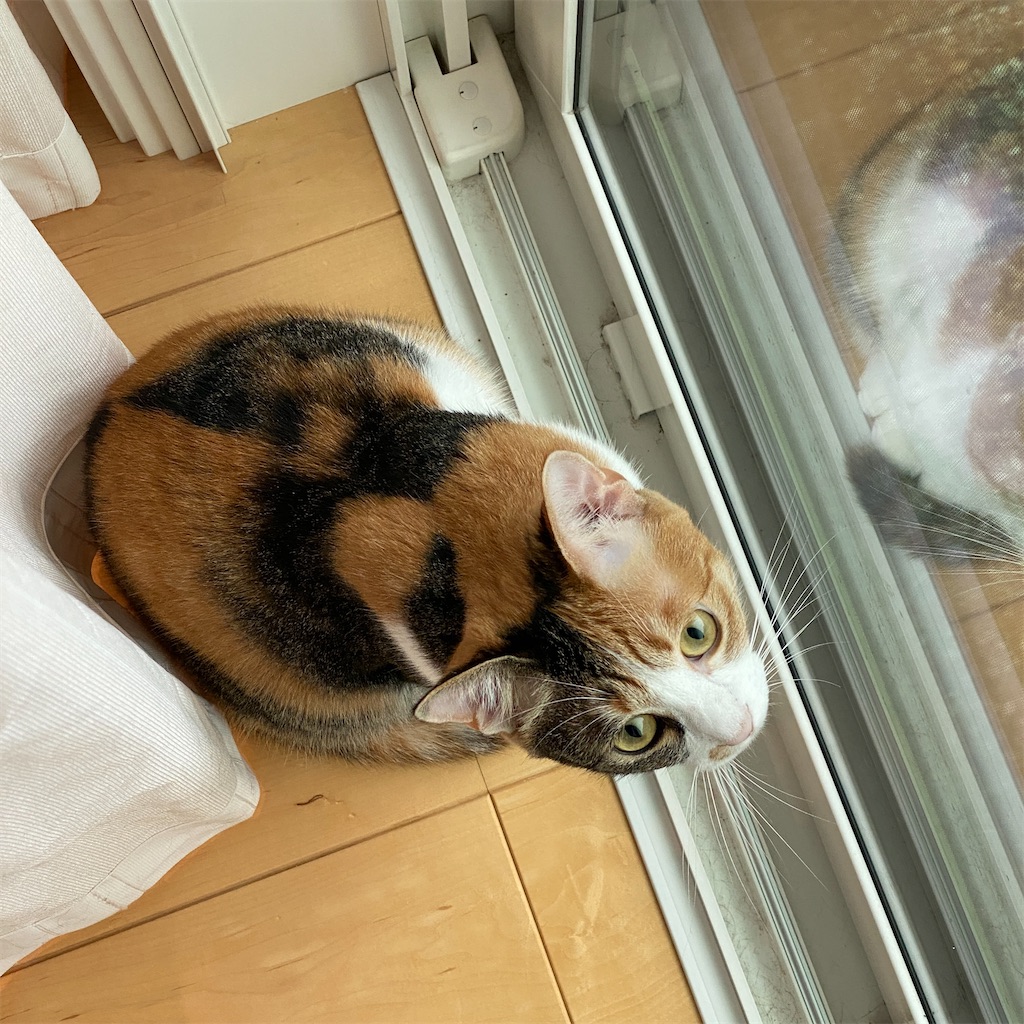 f:id:tetsu-san:20220616120535j:image f:id:tetsu-san:20220616120535j:image