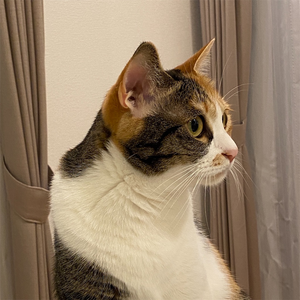 f:id:tetsu-san:20220623110607j:image f:id:tetsu-san:20220623110607j:image