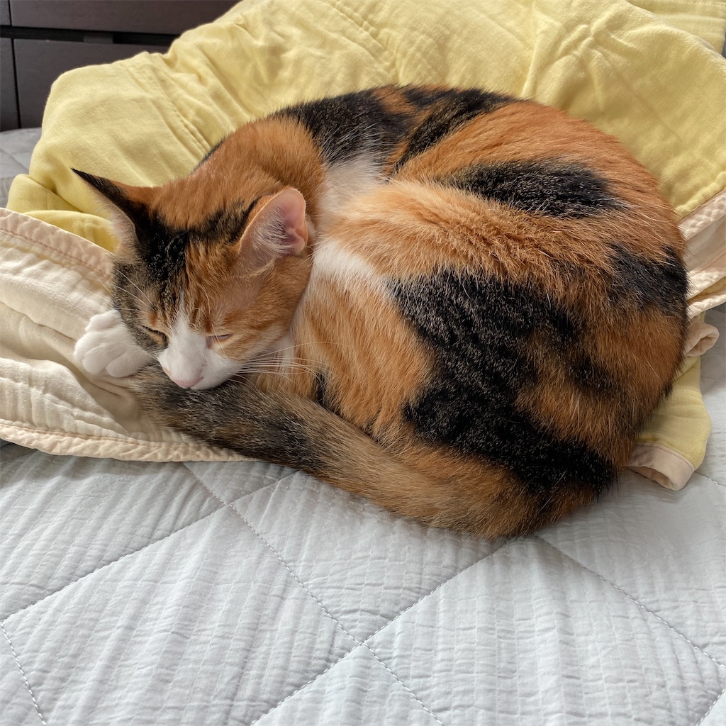 f:id:tetsu-san:20220625140216j:image f:id:tetsu-san:20220625140216j:image