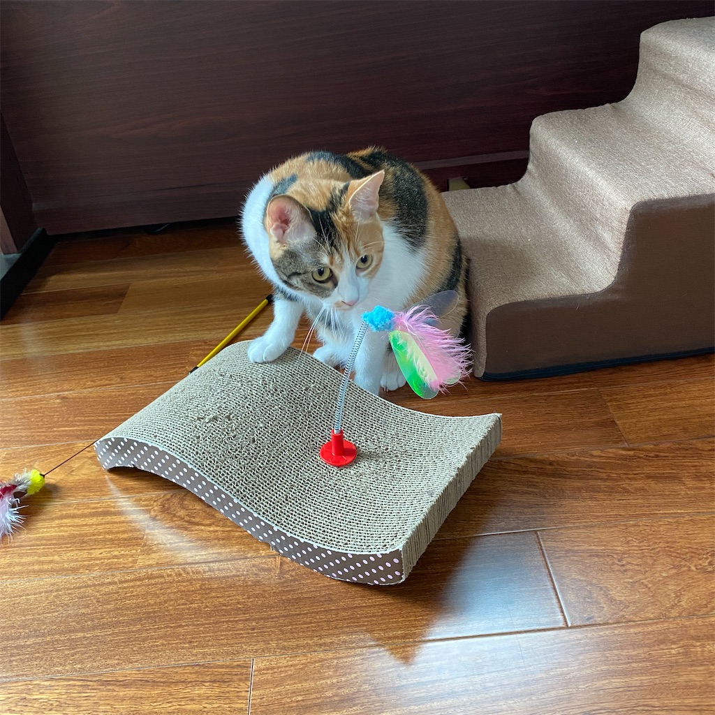 f:id:tetsu-san:20220716150343j:image f:id:tetsu-san:20220716150343j:image