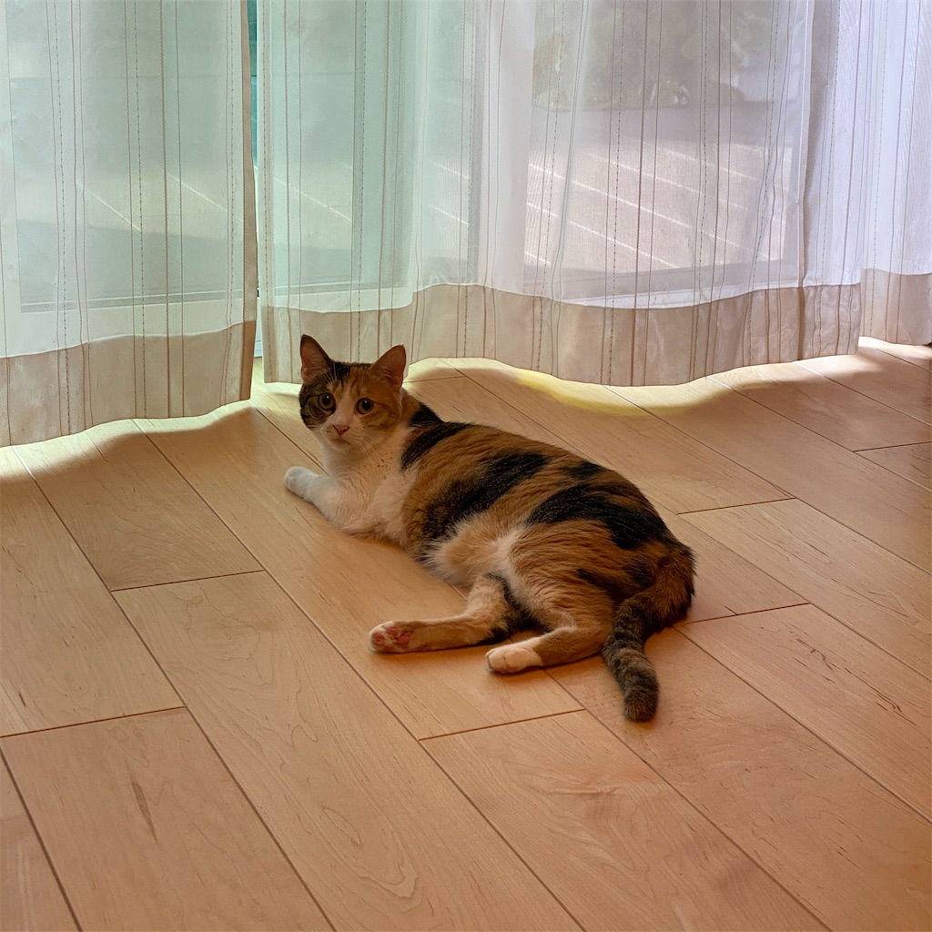 f:id:tetsu-san:20220913104559j:image f:id:tetsu-san:20220913104559j:image
