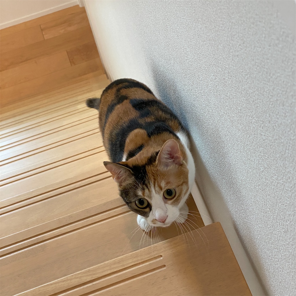 f:id:tetsu-san:20230221201339j:image