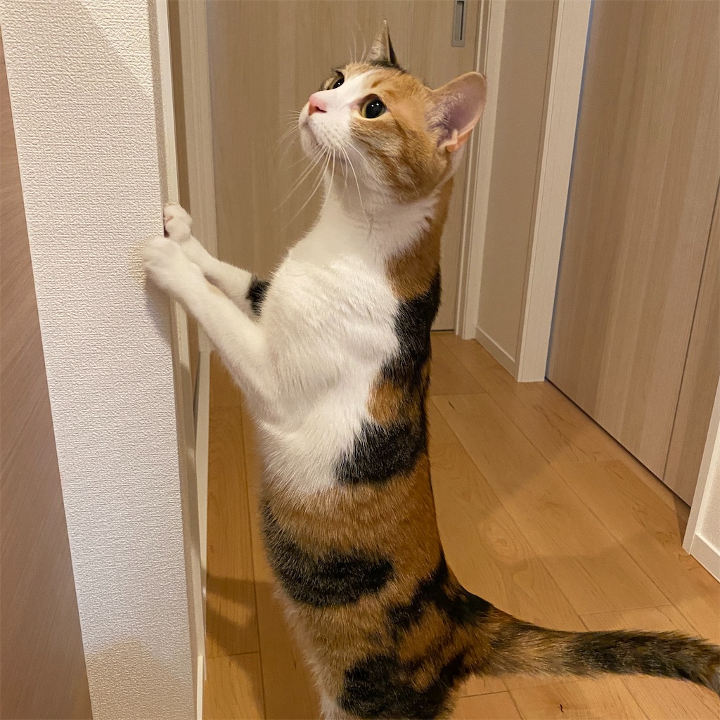 f:id:tetsu-san:20230224185959j:image f:id:tetsu-san:20230224185959j:image