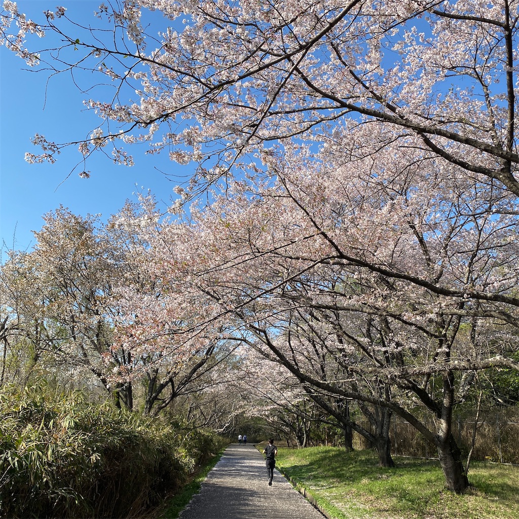 f:id:tetsu-san:20230401214500j:image