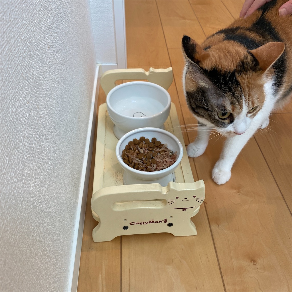 f:id:tetsu-san:20230722134643j:image f:id:tetsu-san:20230722134643j:image