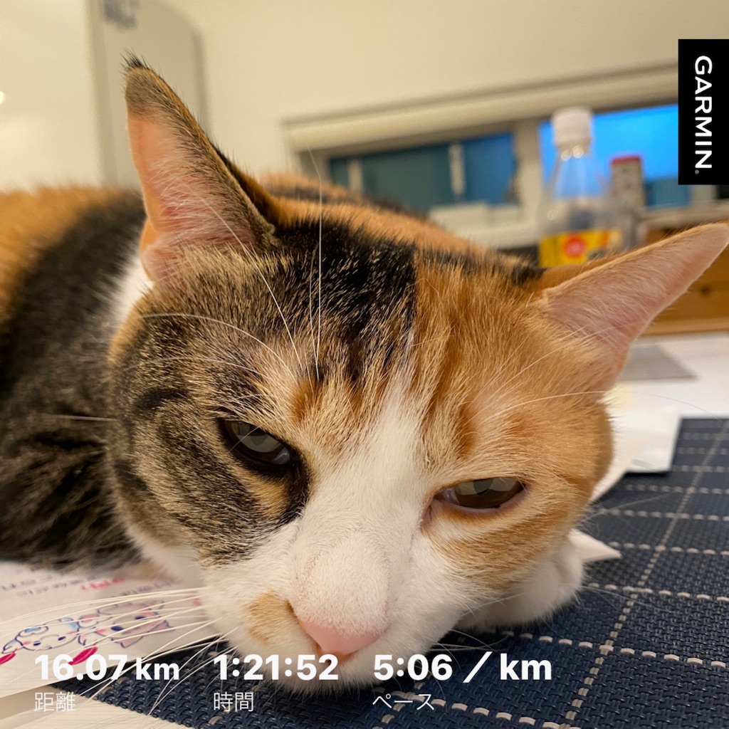 f:id:tetsu-san:20231021171909j:image f:id:tetsu-san:20231021171909j:image