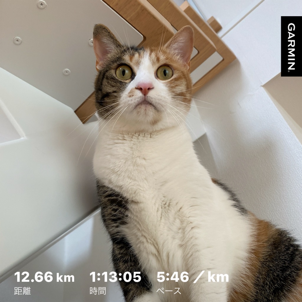 f:id:tetsu-san:20240420180735j:image f:id:tetsu-san:20240420180735j:image