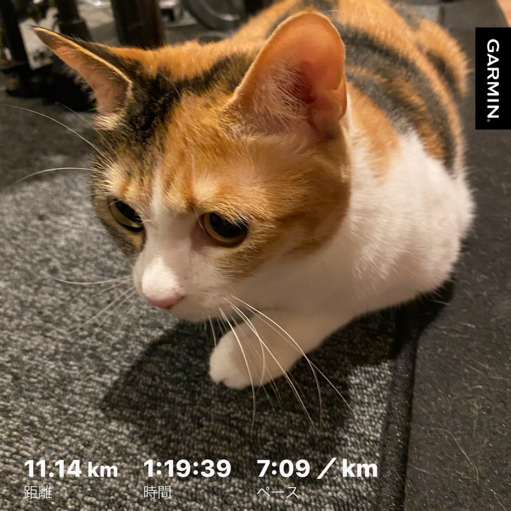 f:id:tetsu-san:20240428154157j:image f:id:tetsu-san:20240428154157j:image