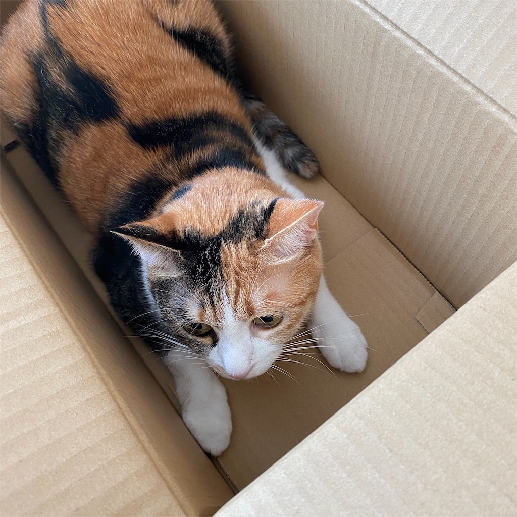 f:id:tetsu-san:20240908084547j:image