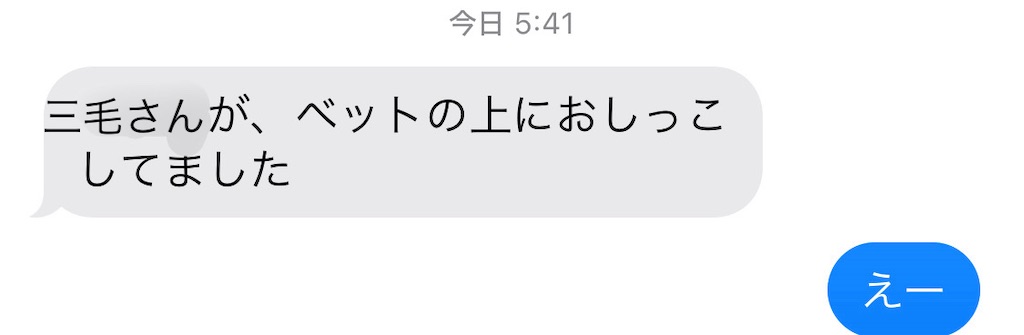 f:id:tetsu-san:20240909164211j:image f:id:tetsu-san:20240909164211j:image