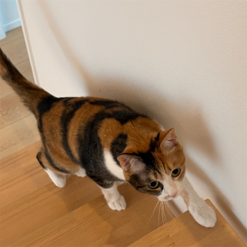 f:id:tetsu-san:20241006161710j:image f:id:tetsu-san:20241006161710j:image