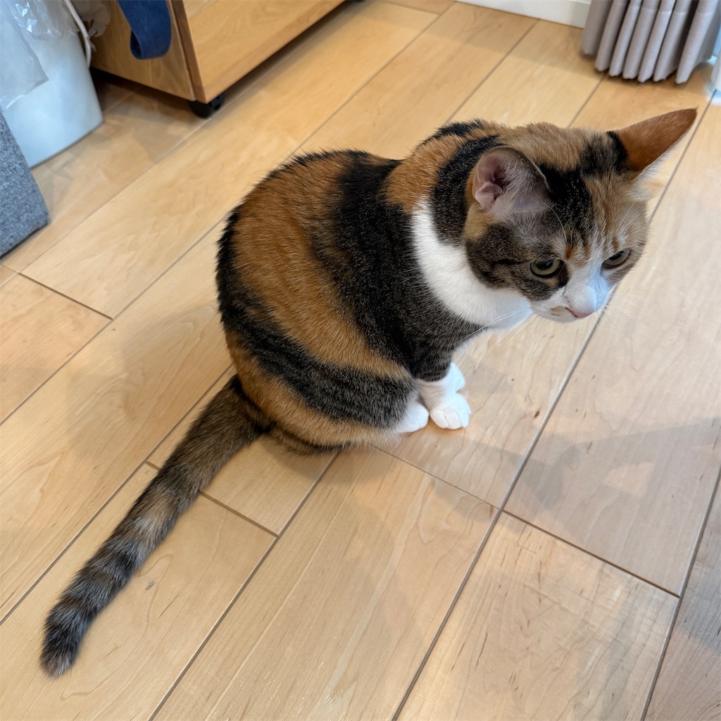 f:id:tetsu-san:20241022172225j:image