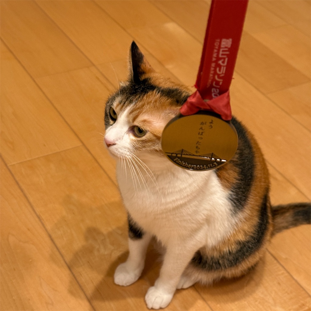 f:id:tetsu-san:20241103205154j:image f:id:tetsu-san:20241103205154j:image