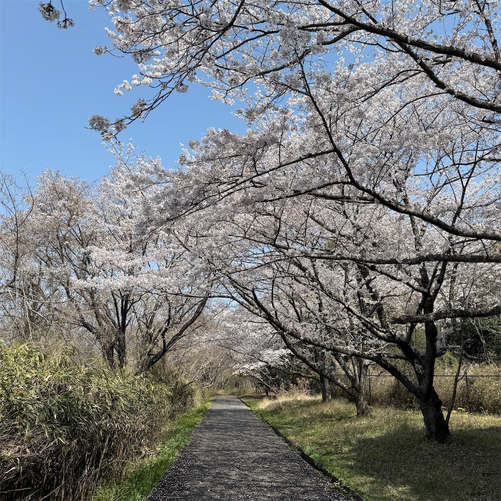 f:id:tetsu-san:20250407164331j:image f:id:tetsu-san:20250407164331j:image