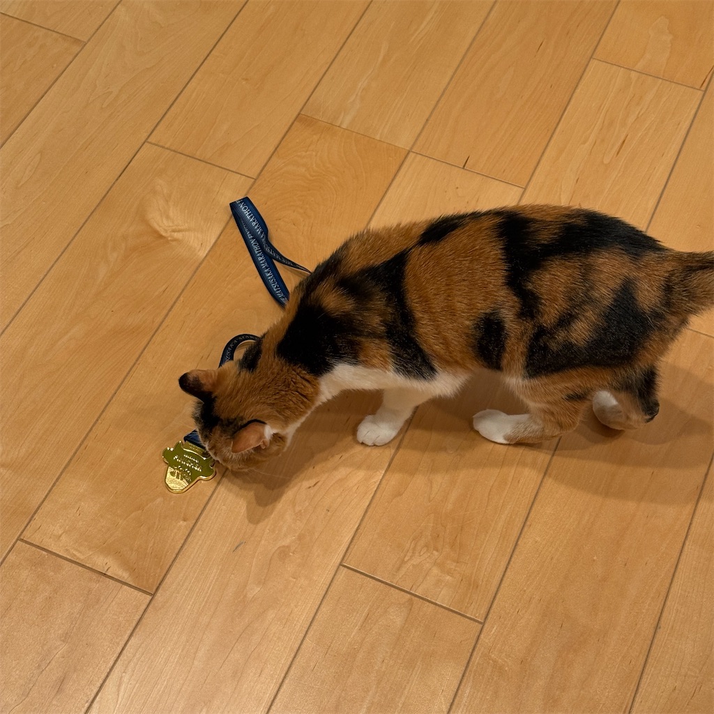 f:id:tetsu-san:20251221222224j:image