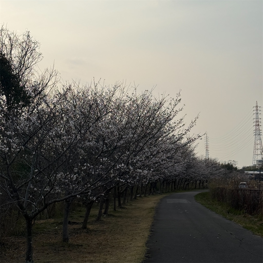 f:id:tetsu-san:20260328195521j:image f:id:tetsu-san:20260328195521j:image